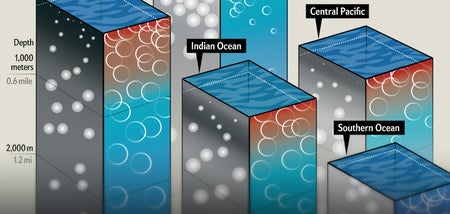 Dataviz detail showing global variation in sea temperature, salinity, oxygen, nitrogen, light penetration and surface color.