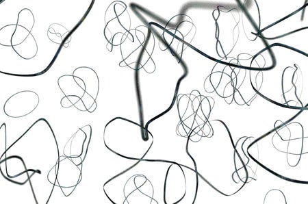 Many discrete loops. Each looks like a close shape made of a continuous black line drawn in 3D space.