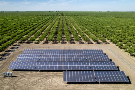 Aerial view of an agriculture well near the California Aqueduct irrigating a orchard of fruit trees